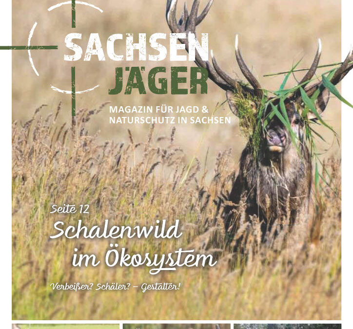 Sachsenjäger Ausgabe 04/22